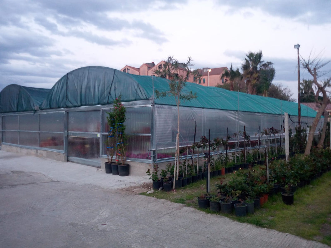 Struttura tunnel con rete verde ombreggiante con testate in policarbonato avente un utilizzo vivaistico